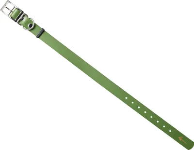 Image de Obroża wodoodporna 4wild 25 mm 38-52 cm oliwkowa