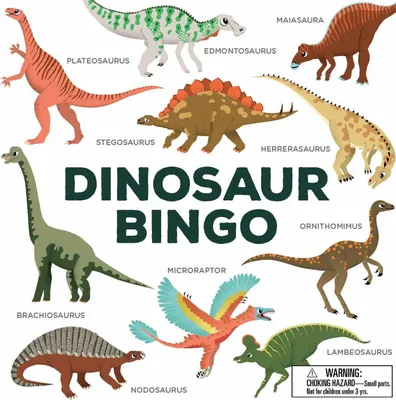Produktbild von Dinosaur Bingo
