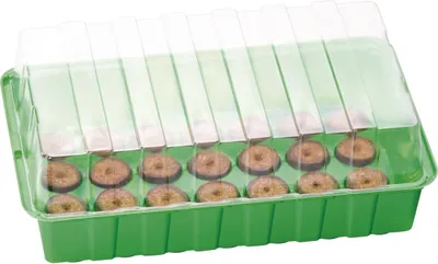 Produktbild von Romberg CLASSIC Anzuchthaus M PLUS COCO Grün 36 x 13 cm & 28 Kokos-Quelltabletten