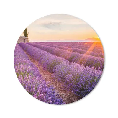 Produktbild von MuchoWow® Mauspad Mousepad Lavendel - Sonnenuntergang - Blumen - Lila 20x20 cm - Mousepads - Maus Mat - Pad - Mausunterlage - Schreibtischmatte