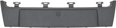 Immagine prodotto di VAN WEZEL Portatarga nero per RENAULT Scénic III (JZ0/1)