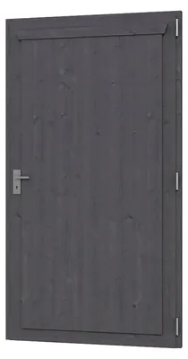 Produktbild von Einzeltür SKAN HOLZ 98 x 198 cm anthrazit