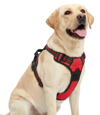 Hundegeschirr für große Hunde, Anti-Zug, verstellbar, reflektierend