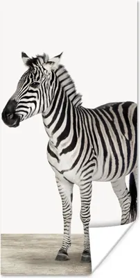 Produktbild von MuchoWow® Poster Zebra - Mädchen - Tiere - Kinder - Jungen 75x150 cm - Dekoration für die Wände