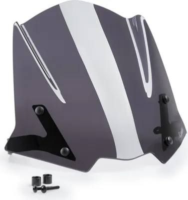 Image de PUIG 20432F New Generation Sport pour TRIUMPH STREET TRIPLE 765 RS Fortement teinté