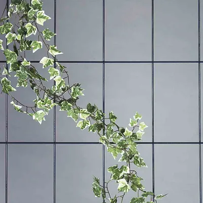 Produktbild von SIENA GARDEN Spalier 5-strebig, grün