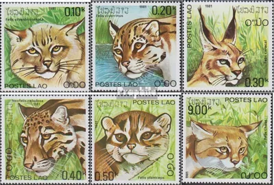 Produktbild von Briefmarken Laos 1981 Mi 517-522 (kompl.Ausg.) postfrisch Raubkatzen
