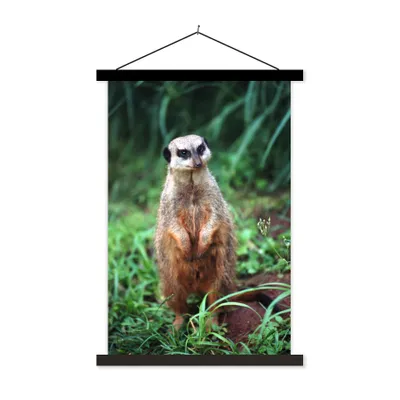 Produktbild von MuchoWow® Textilposter Gras - Erdmännchen - Tier 40x60 cm mit schwarzem Rahmen - Wanddekorationen