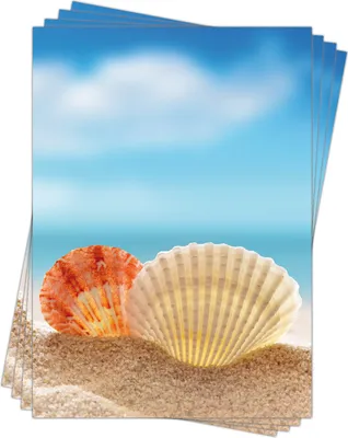 Produktbild von Motivpapier Briefpapier (Meer Strand-5185, DIN A4, 100 Blatt) schöner Sandstrand mit Jakobsmuscheln, Muscheln am Strand