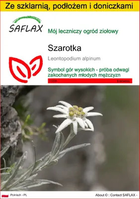 Zdjęcie produktu dla SAFLAX - Zestaw do uprawy - Szarotka - 500 Nasiona - Z mini szklarnią, podłożem uprawowym i 2 doniczkami - Leontopodium alpinum