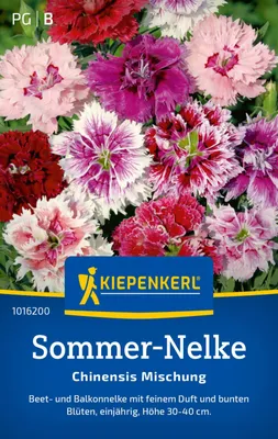 Produktbild von Kiepenkerl Sommer-Nelkensamen Chinensis Dianthus chinensis 80 Pflanzen