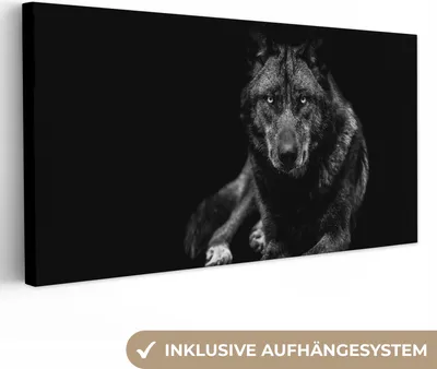 Produktbild von MuchoWow® - Leinwandbilder - Tiere - Wolf - Schwarz - Weiß - Porträt, Wandbild, Wanddeko Bilder Wohnzimmer, 80x40 cm