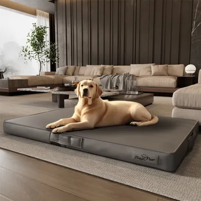 Produktbild von WISFOR legowisko ortopedyczne dla psa, składane legowisko z miękkiej skóry PU, sofa 3D dla psa, lekka dla stawów, zmywalna, wodoodporna, XL: 110,5x78x9cm, jasnoszara