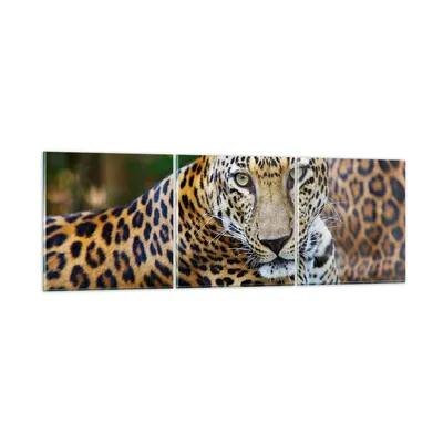 Produktbild von Bilder auf glas - Leopardpanther Katze Tier Savanne - 150x50cm - Glasbilder - Wandbilder - Kunstdruck - Wanddekoration aus Glas - Glas Bilder - Wandbild auf Glas - GCA150x50-0402