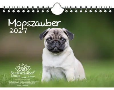 Produktbild von Mopszauber DIN A5 Kalender für 2027 Mops Hunde und Welpen - Seelenzauber