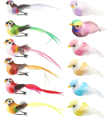 Image de Ensemble de figurines d'oiseaux décoratifs pour jardin et projets de bricolage