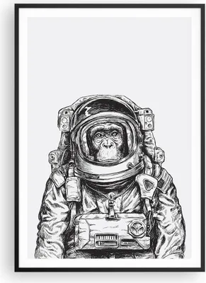 Produktbild von Gerahmtes Poster - Schwarzer Rahmen - Schimpanse Astronaut Zeichnung - 70x100 cm - Wand Bild - Wanddeko - Wandbilder - Wandposter - Bilderrahmen - Bilder - Kunstdruck - Wandbild - P2BPA70x100-4312