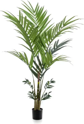 Produktbild von Künstliche Pflanze - Kentia - Kentia-Palme