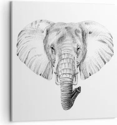 Produktbild von Bild auf Leinwand - Leinwandbild - Elefant Afrika Illustration Kinder - 50x50cm - Wand Bild - Wanddeko - Leinwanddruck - Bilder - Kunstdruck - Leinwand bilder - Wandkunst - AC50x50-3213