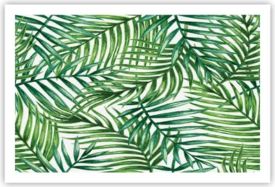 Produktbild von Poster - Poster ohne Rahmen - Palme Blatt grün - 91,5x61 cm - Wand Bild - Wanddeko - Wandbilder - Kunstposter - Wandposter - Bilder - Kunstdruck - Wanddekoration - Wandbild - P2XAA91x61-3777
