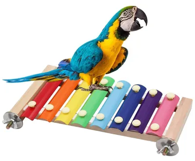 Produktbild von Buntes Vogel-Xylophon-Spielzeug mit 8 Metallschlüsseln, hängend, Vogelkäfigzubehör