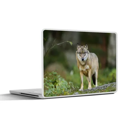 Produktbild von MuchoWow® Laptop Aufkleber Sticker Cover Wolf - Tiere - Wald 40x30 cm - Laptop Dekoration - Selbstklebend