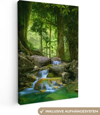Zdjęcie produktu dla MuchoWow® - Obraz na płótnie - Dżungla - Kamienie - Woda - Natura - Rośliny, fototapeta, dekoracja ścienna, obrazy do salonu, 40x60cm