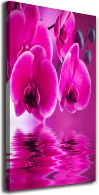 Imagen del producto de Tulup Lienzo® - 70x140 cm - Obra de arte para pared - Impresiones sobre lienzo - Impresión en lienzo - Decoración de pared para salón de gran tamaño (XXL) - Decoración para el hogar, impresiones artísticas - Flores y plantas - Rosa - Orquídea rosa