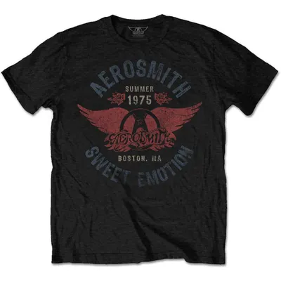 Produktbild von Aerosmith Sweet Emotion Black L T-Shirt
