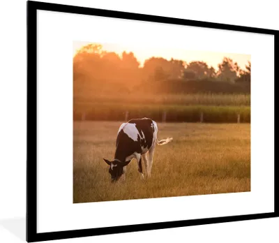 Produktbild von MuchoWow® Gerahmtes Poster Kuh - Sonne - Tiere 80x60 cm - Poster mit Schwarzem Bilderrahmen Wandposter Rahmen Foto Bilder - Schlafzimmer-Dekorationen - Fotoposter