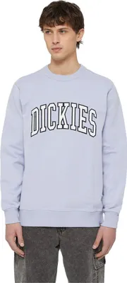 Immagine prodotto di Dickies Aitkin Felpa Grau M Mann Grau M