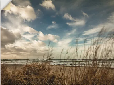 Produktbild von ARTland Wandbild, selbstklebend An der Küste der Ostsee I Größe: 80x60 cm