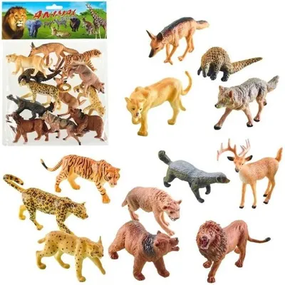 Image de Les animaux du zoo - Trifox
