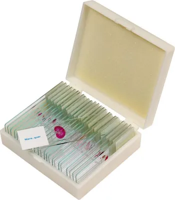 Produktbild von Betzold Präparate-Set 3