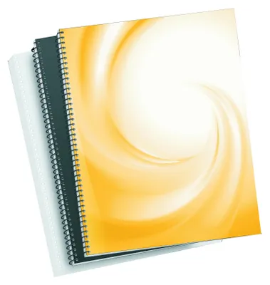 Image de Fellowes 5102001 : Spirales métalliques pour reliure, format 5:1, 59 trous, 8 mm, couleur argent