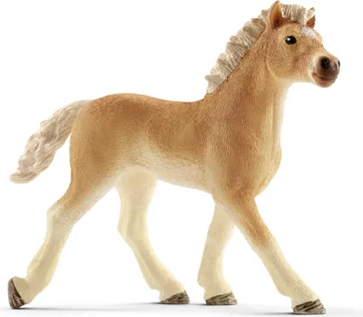 Immagine prodotto di Schleich Cavallo Club Cavallo Haflinger Puledro 13814