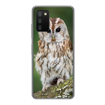 Produktbild von MuchoWow® Handyhülle Schutzhülle Hülle für Samsung Galaxy A03s Braune Eule sitzt auf einem Baum Silikon Softcase Handy Hülle - Schutz