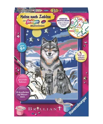 Obrázok produktu pre Ravensburger 00.027.784, 1 strany, Obrazy v balení, Chlapec / dievča, Súprava farieb s číslami