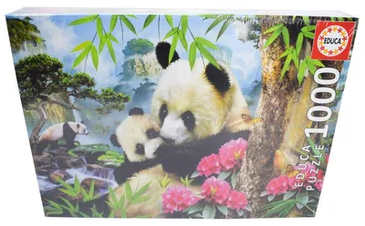 Produktbild von Educa Morning Panda, 1000 Stück(e), Tiere, 12 Jahr(e)