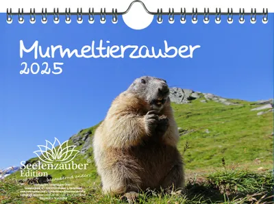 Produktbild von Murmeltierzauber DIN A5 Wandkalender für 2025 Murmeltier - Seelenzauber