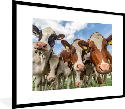 Produktbild von MuchoWow® Gerahmtes Poster Kühe - Tiere - Weide - Natur 80x60 cm - Poster mit Schwarzem Bilderrahmen Wandposter Rahmen Foto Bilder - Schlafzimmer-Dekorationen - Fotoposter