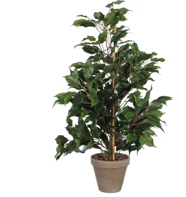 Produktbild von Mica Decorations Ficus Exotica Kunstpflanze im Blumentopf Stan - H65 x Ø40 cm - Grün