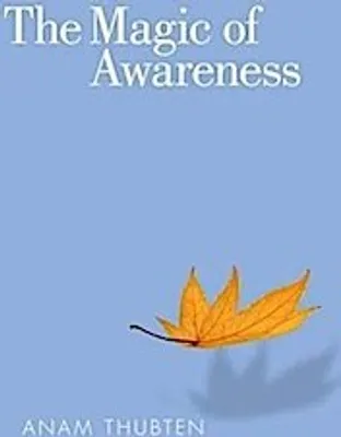 Zdjęcie produktu dla The Magic of Awareness