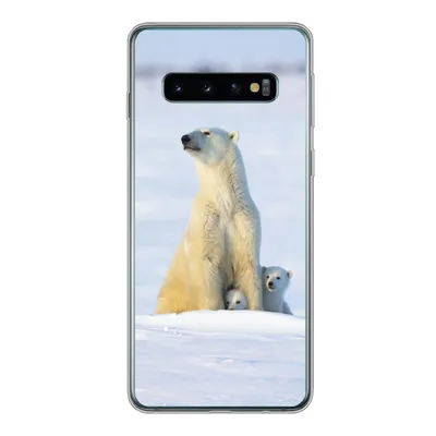 Produktbild von MuchoWow® Handyhülle Schutzhülle Hülle für Samsung Galaxy S10 Eisbär - Schnee - Jungtiere Silikon Softcase Handy Hülle - Handytasche