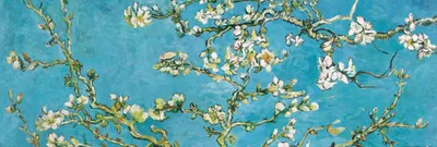Obrázok produktu pre Vincent Van Gogh Art Print Obraz - Rozkvitnuté vetvy mandľovníka, 1890 (53 x 158 cm)