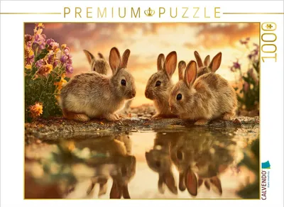 Produktbild von CALVENDO Puzzle Glück spiegelt sich in kleinen Hasenaugen | 1000 Teile Lege-Größe 64x48cm Foto-Puzzle für glückliche Stunden