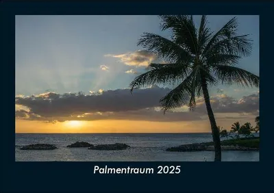 Produktbild von Palmentraum 2025 Fotokalender DIN A5