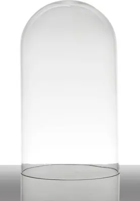 Produktbild von INNA-Glas Glashaube - Glasglocke Adelina, Zylinder - Rund, klar, 28cm, Ø 16.5cm - Zylinderglas - Glas Kuppel