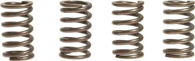 Immagine prodotto di Kit 4 molle frizione EBC rinforzate 10% CSK026