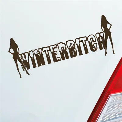 Produktbild von Auto Aufkleber Winterbitch Winter Bitch Schnee Tuning 15x6 cm Braun Sticker Heckscheibenaufkleber